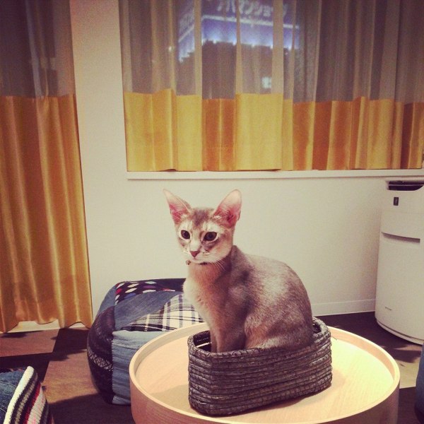 10659311_10152290094285796_8026344262360234911_n