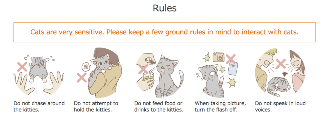 Screen Shot 2016-02-21 at 3.26.34 PM