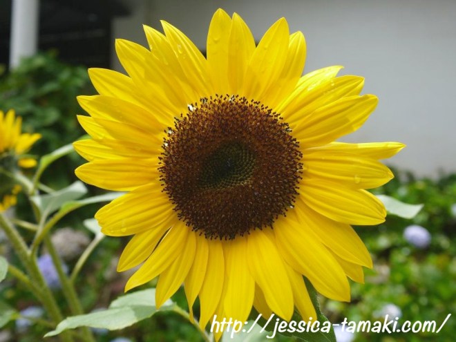 427620_10150569313190796_1771414104_n