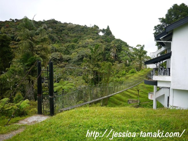 431398_10150569317685796_1113564082_n