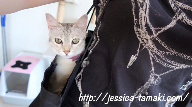 13700131_10153654905795796_7657688938587813560_n