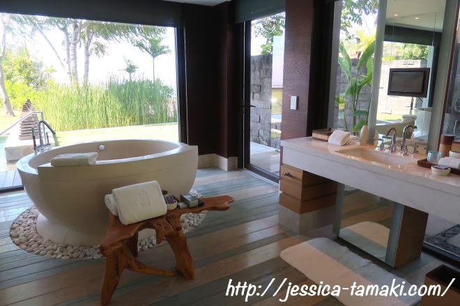 ritz carlton cliff villa 5.jpg