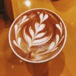 13062275_481107592078407_3170630576777585332_n