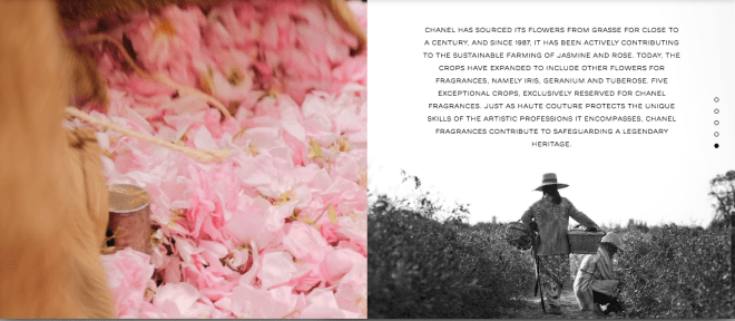 screen-shot-2016-12-20-at-10-19-01-am