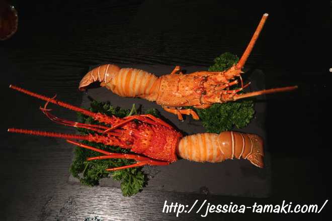 DragonNoodlesAcademy12